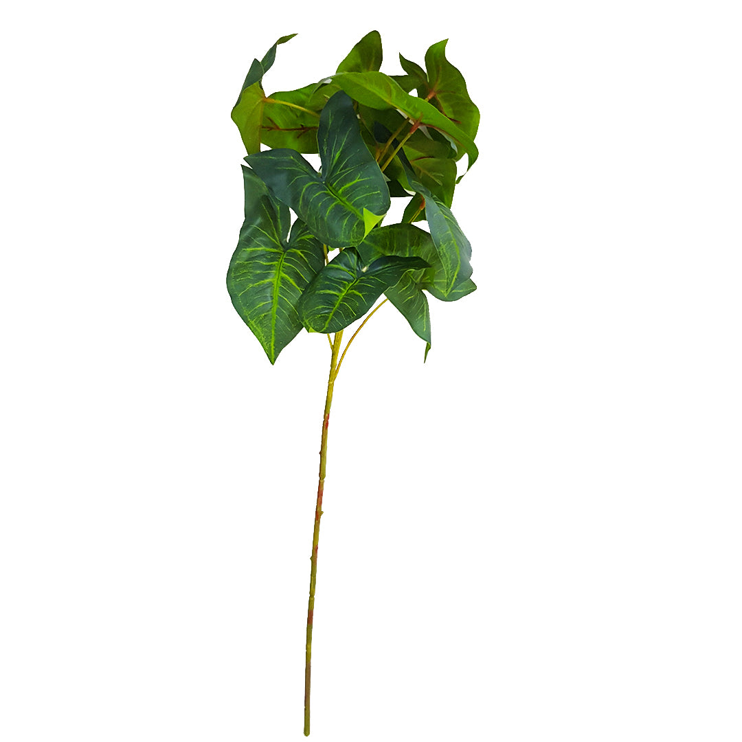 Green plant on sale